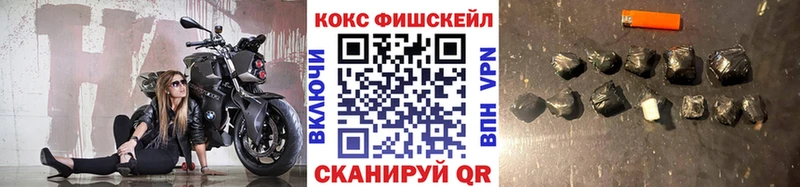 Купить  Няндома  COCAIN Эквадор 
