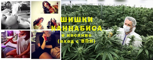 мдпв Коряжма