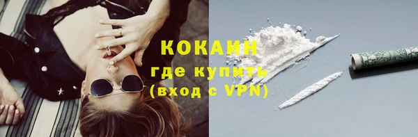 гидра Ачинск