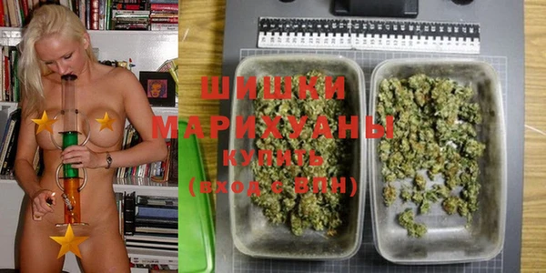мдпв Коряжма