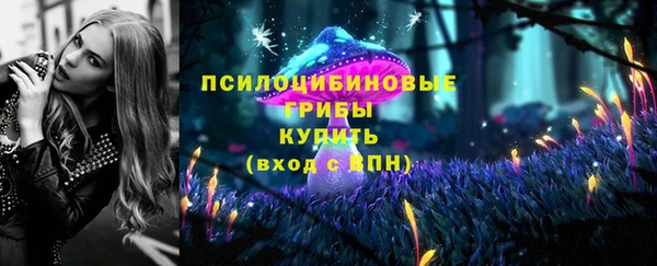мдпв Коряжма