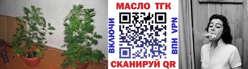Купить закладки  Няндома  Дистиллят ТГК гашишное масло 